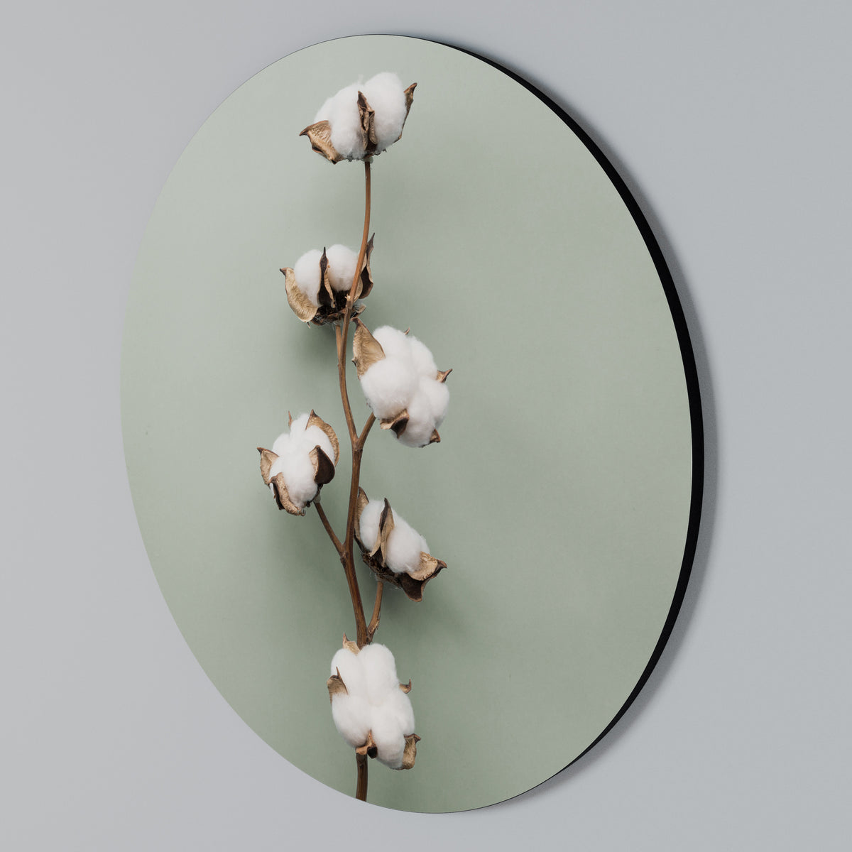 COTTON DREAMS UNFOLDED Arte de Parede Redonda