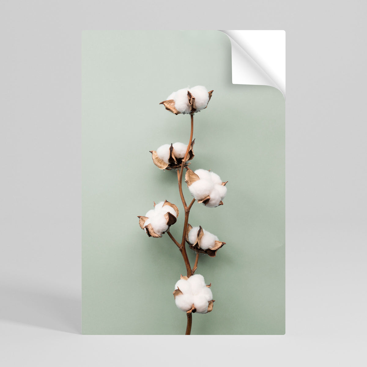 COTTON DREAMS UNFOLDED Póster Autocolante Vertical