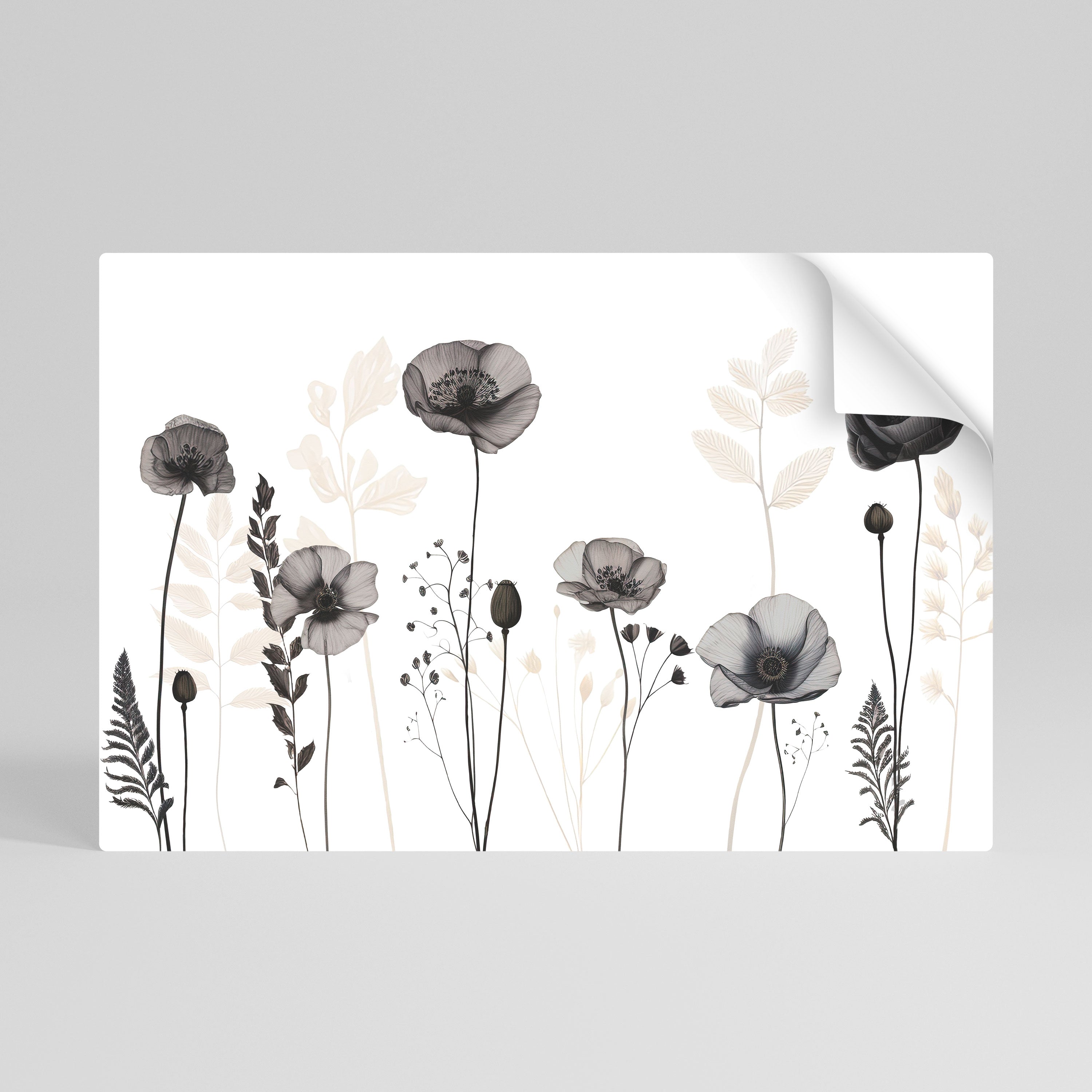 POPPY ALLURE Póster Autocolante Horizontal