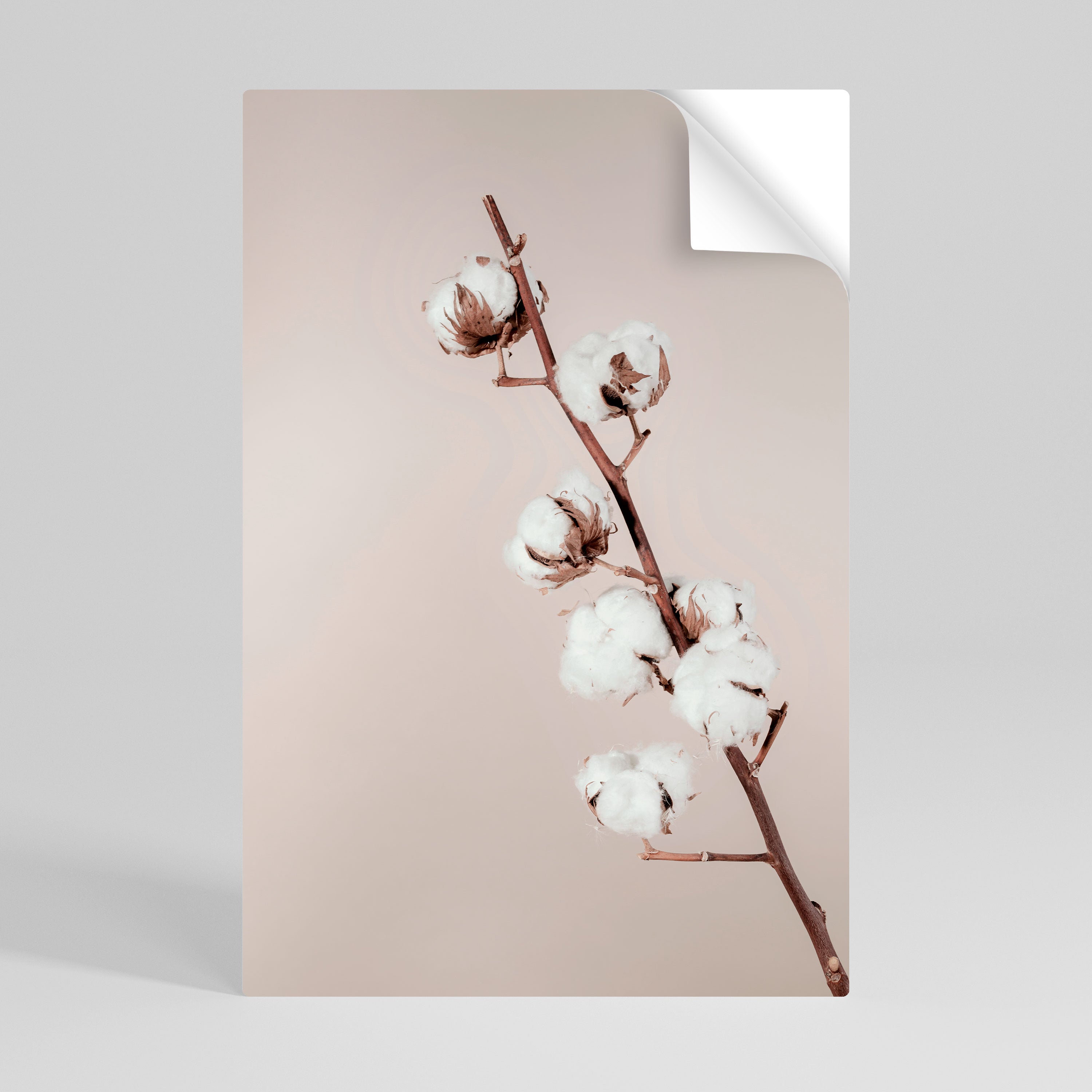 COTTON CLOUDS IN BALANCE Poster Vertical Autocolante