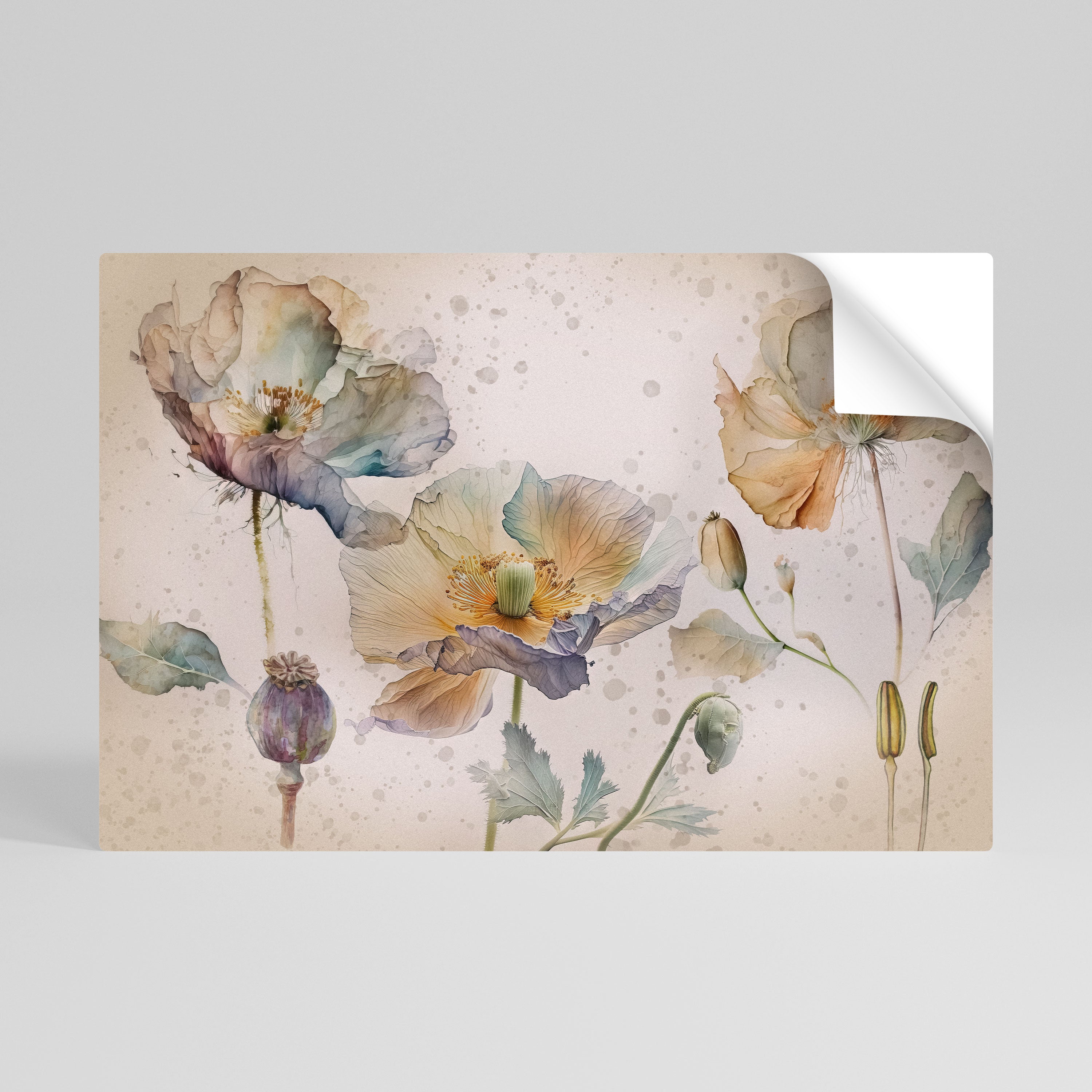 SOFTEN POPPY Póster Autocolante Horizontal