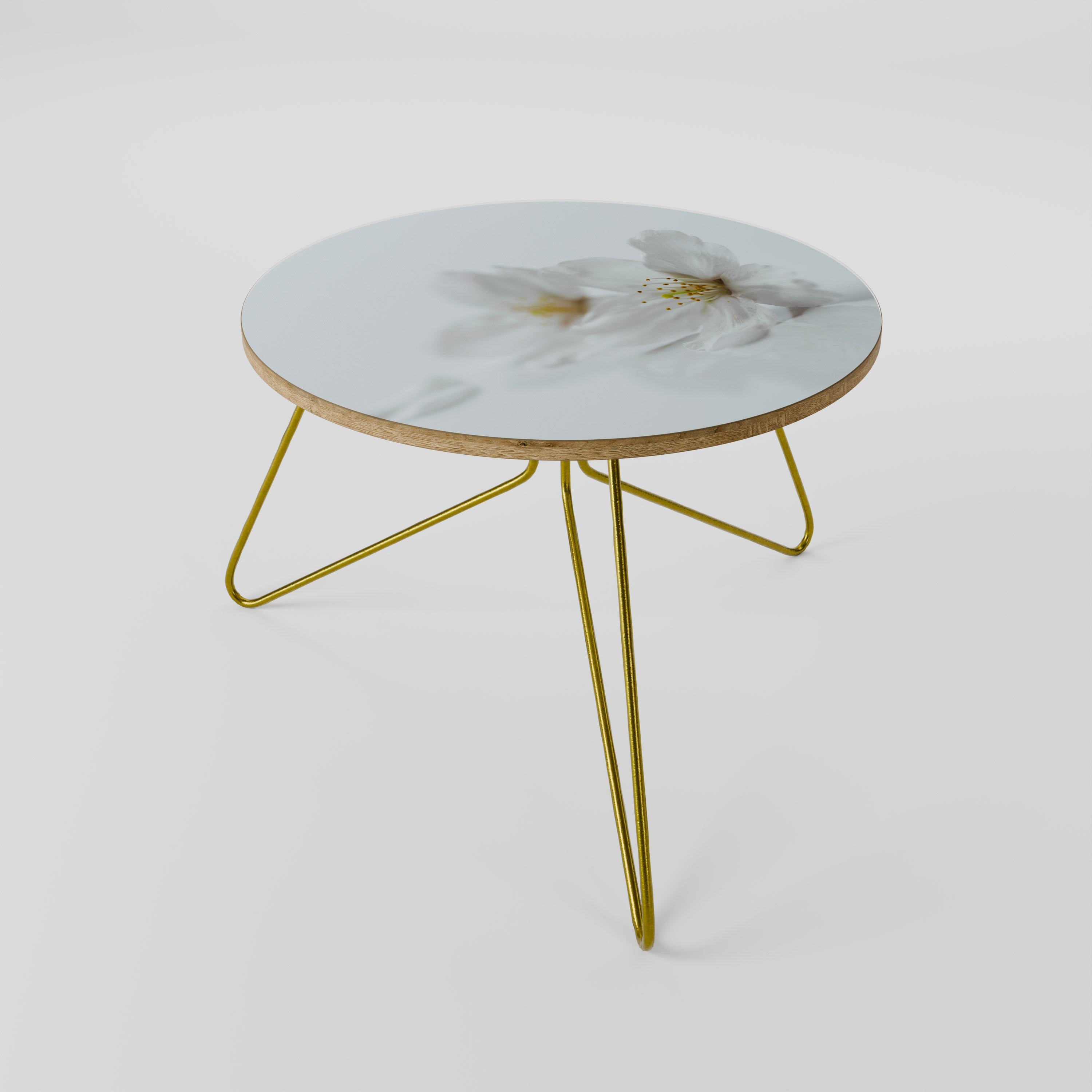 FLEETING WHITE PETALS Mesa de Centro 60