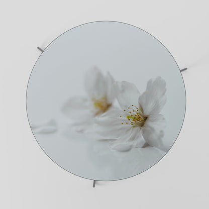FLEETING WHITE PETALS Coffee Table
