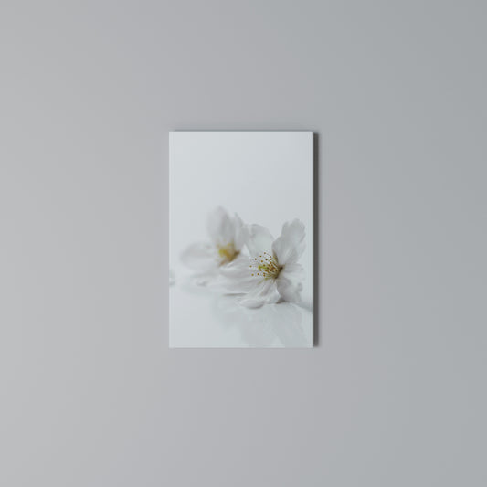 FLEETING WHITE PETALS Quadro em tela vertical