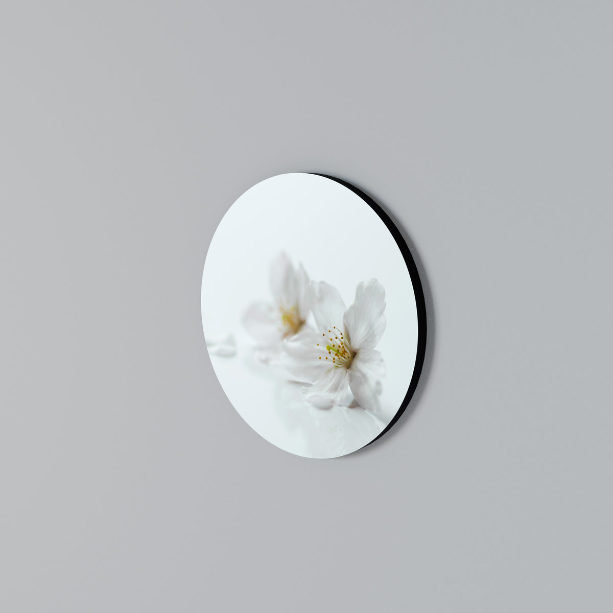 FLEETING WHITE PETALS Arte de Parede Redonda