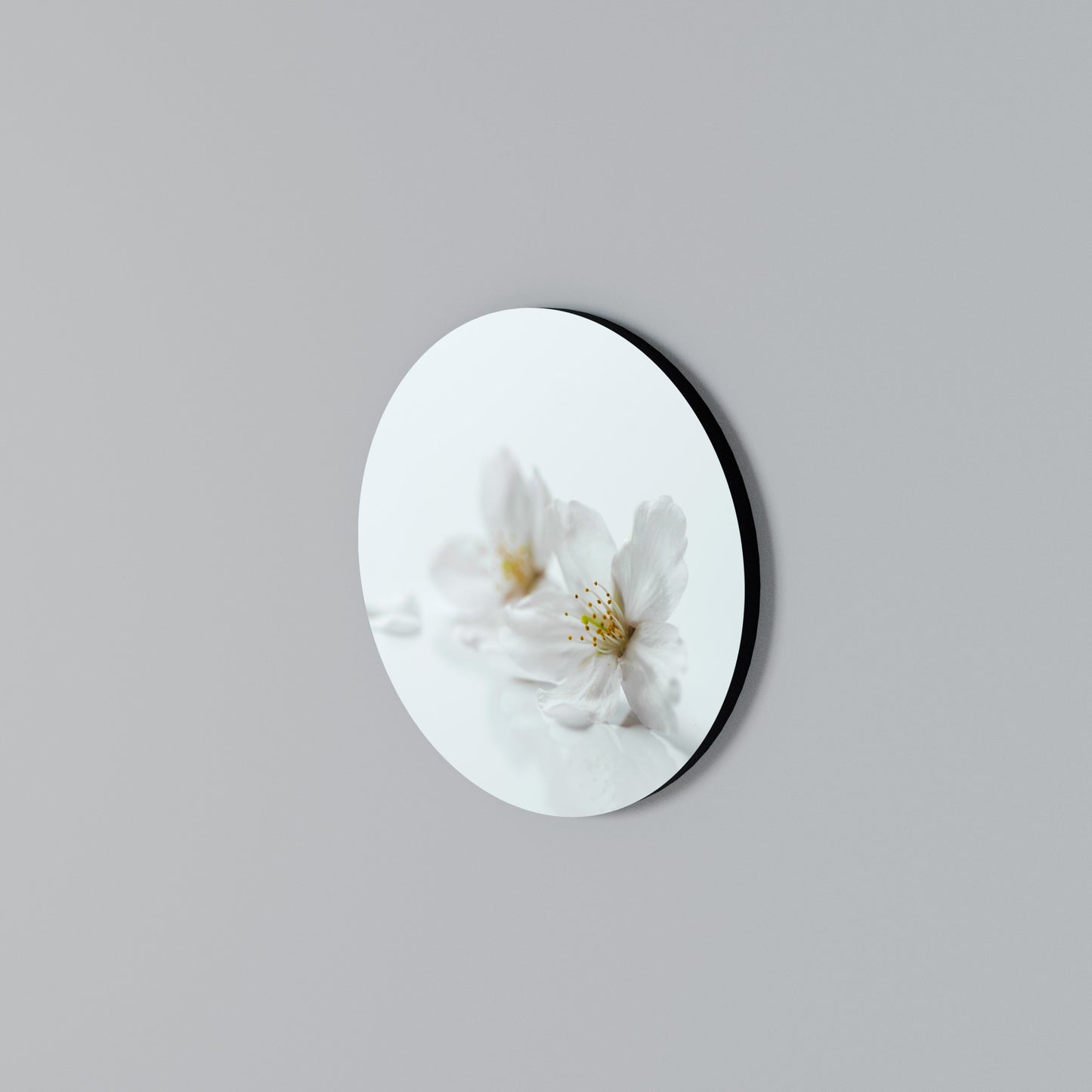 FLEETING WHITE PETALS Arte de Parede Redonda