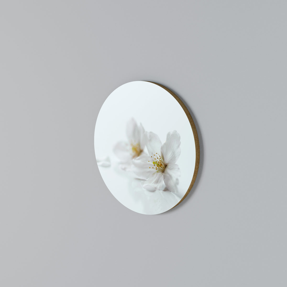 FLEETING WHITE PETALS Arte de Parede Redonda