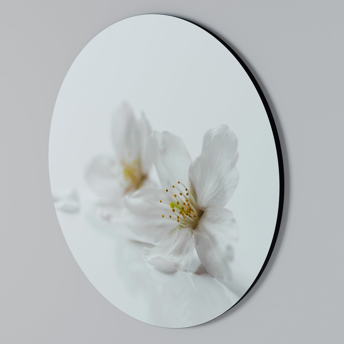 FLEETING WHITE PETALS Arte de Parede Redonda