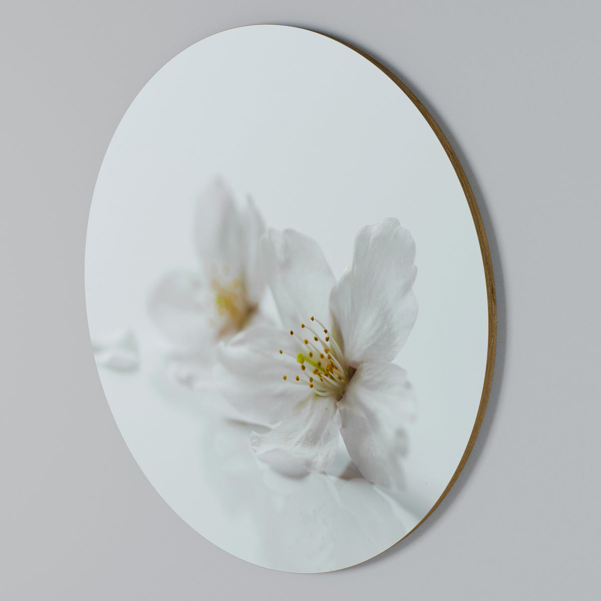 FLEETING WHITE PETALS Arte de Parede Redonda