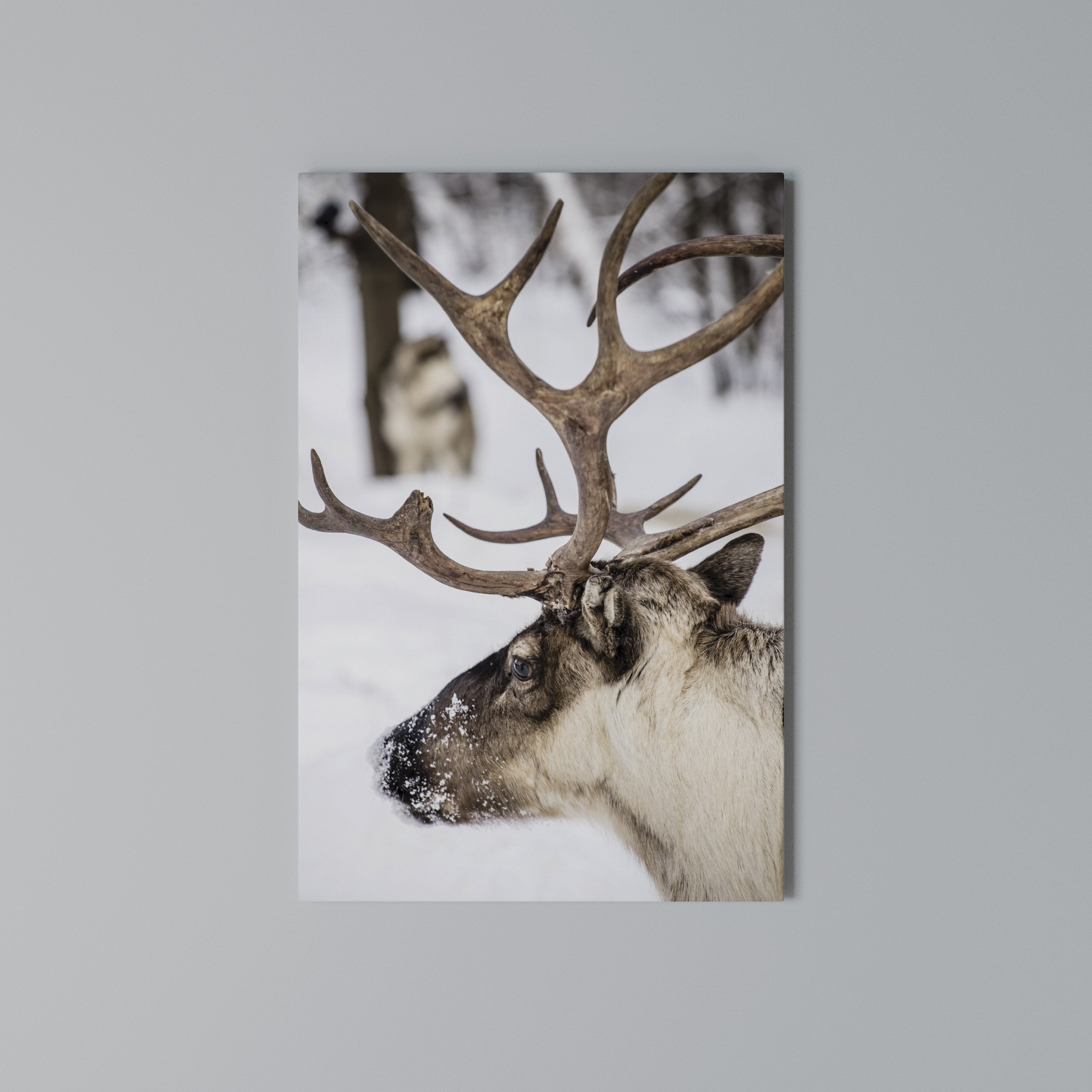 WHISPERS OF FROST Vertical Canvas Print