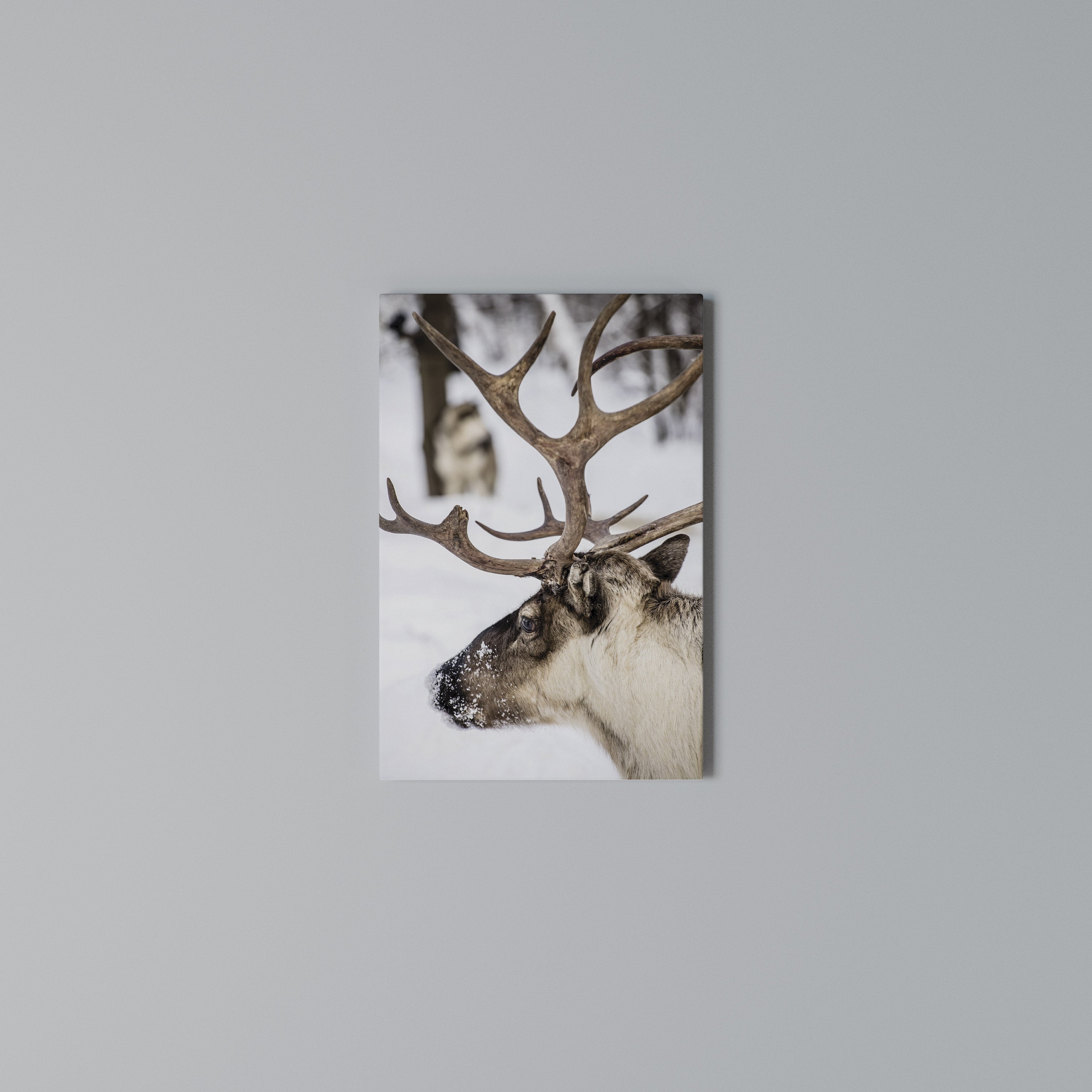 WHISPERS OF FROST Vertical Canvas Print