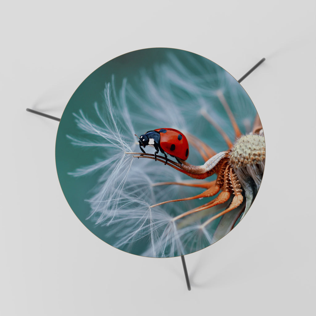 LADYBUG BALANCE Mesa de Centro 60