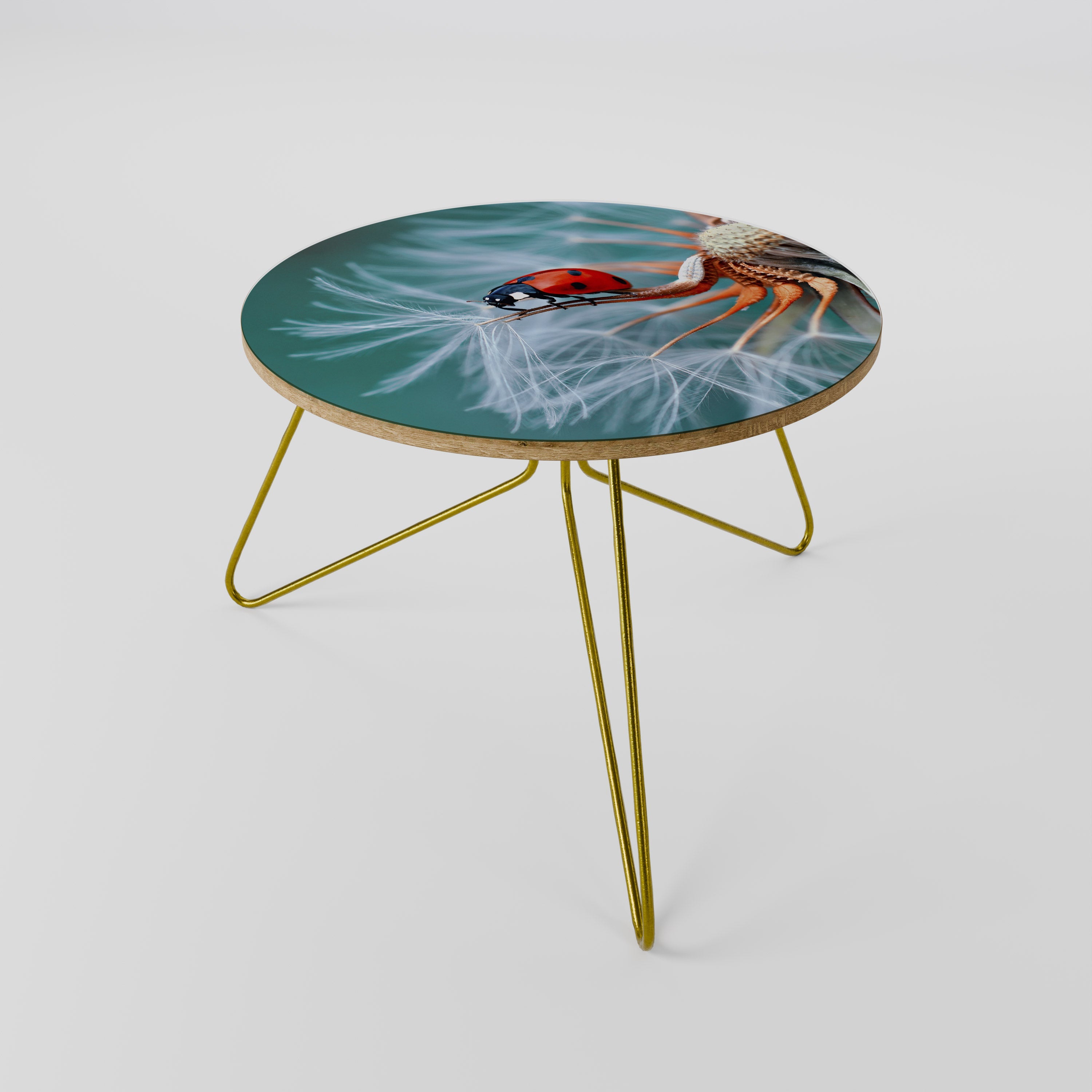 LADYBUG BALANCE Mesa de Centro 60