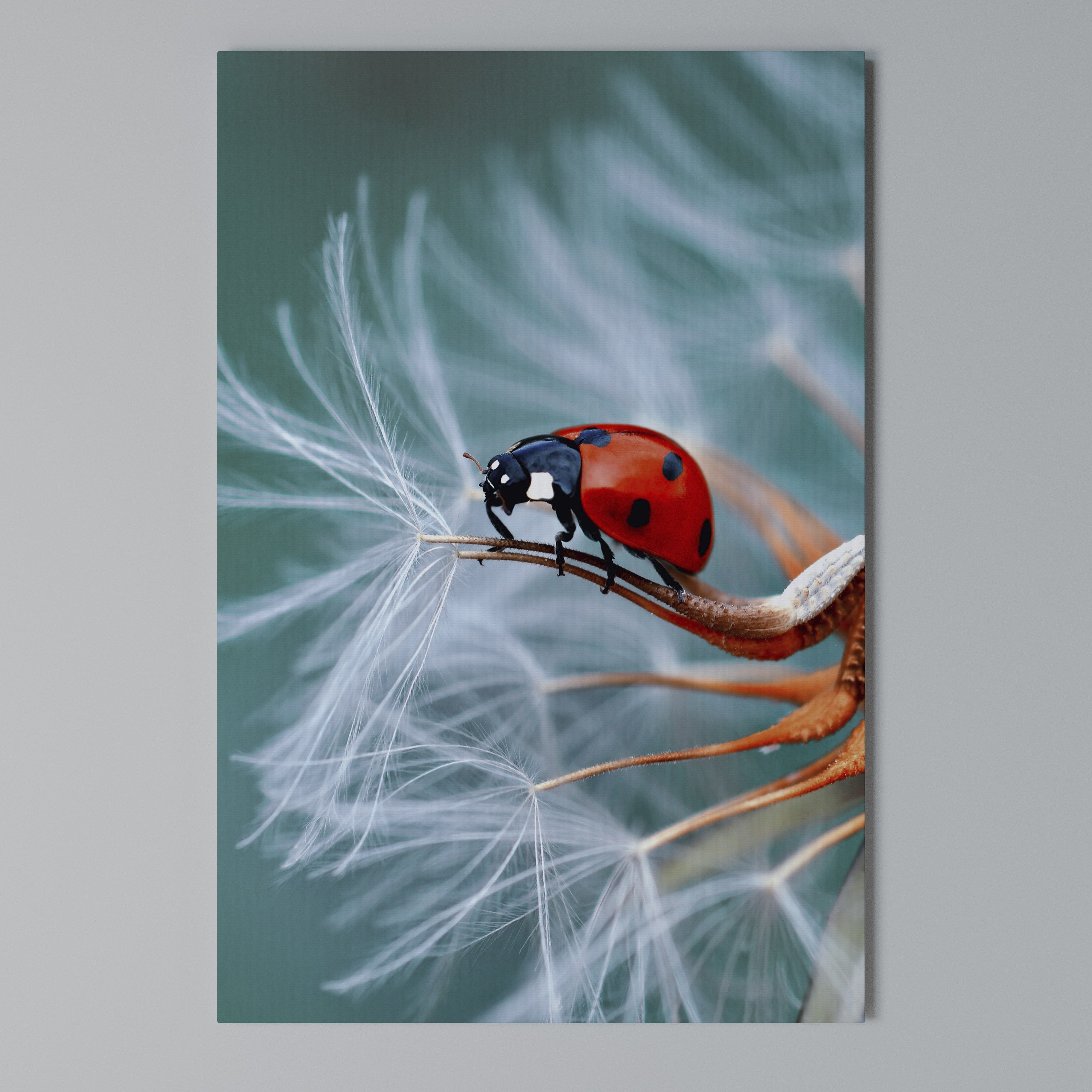 LADYBUG BALANCE Quadro em tela vertical