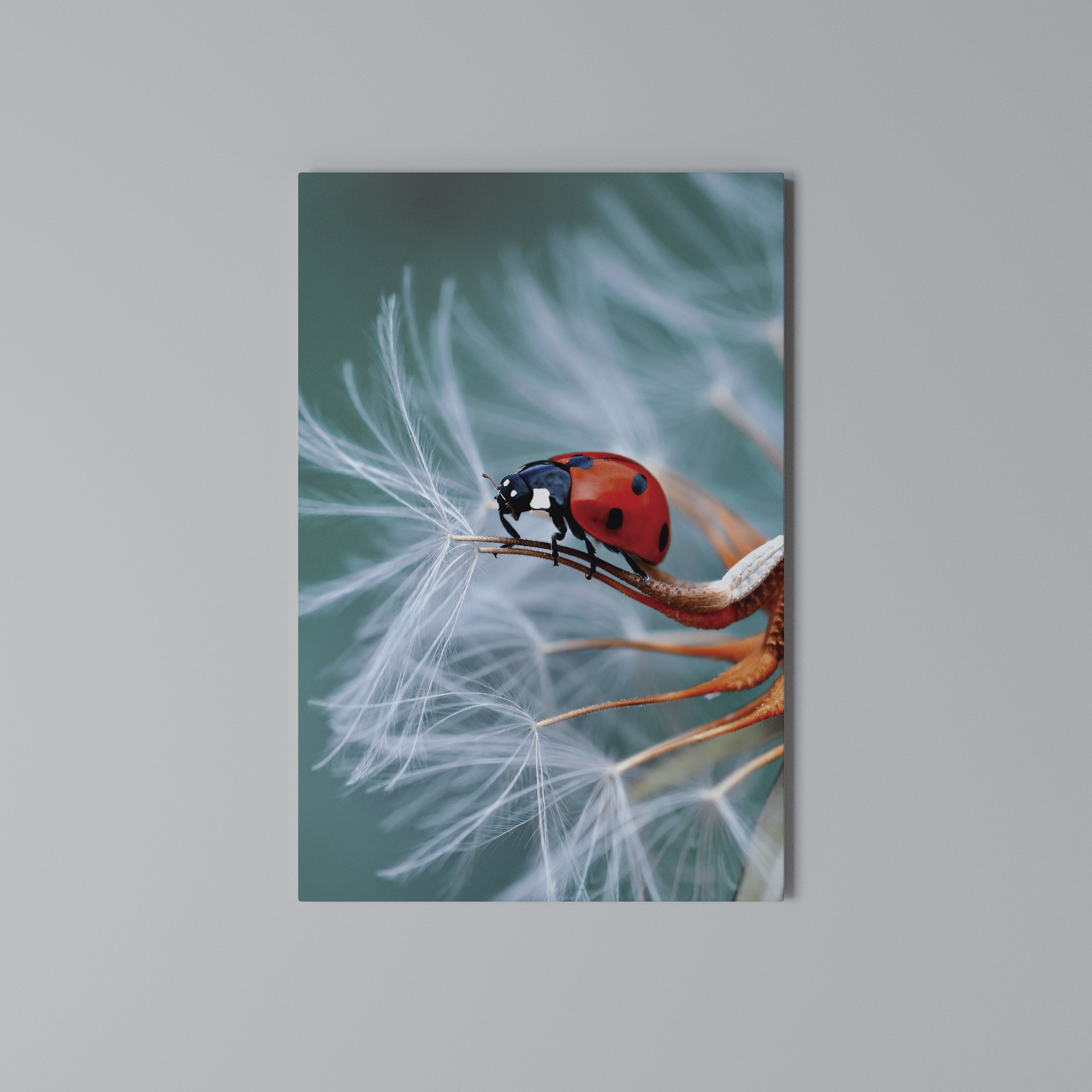 LADYBUG BALANCE Quadro em tela vertical
