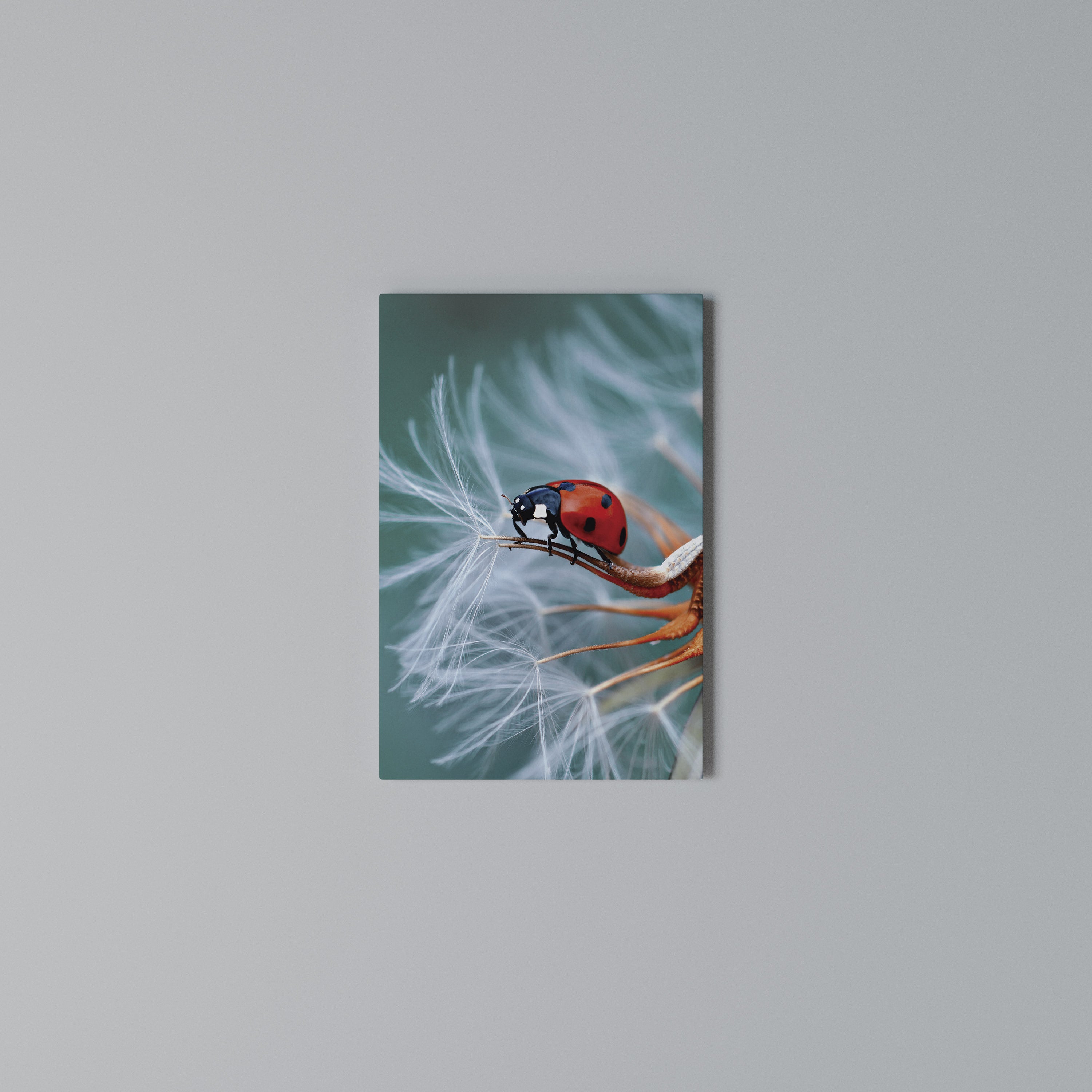 LADYBUG BALANCE Quadro em tela vertical