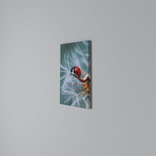 LADYBUG BALANCE Quadro em tela vertical