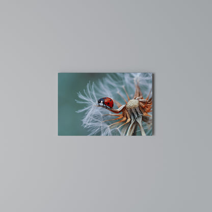 LADYBUG BALANCE Horizontal Canvas Print