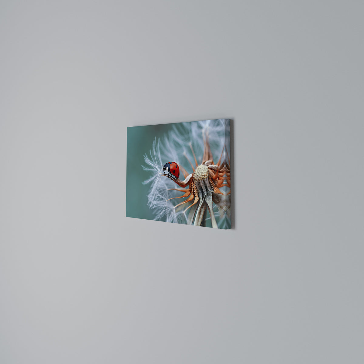 LADYBUG BALANCE Horizontal Canvas Print