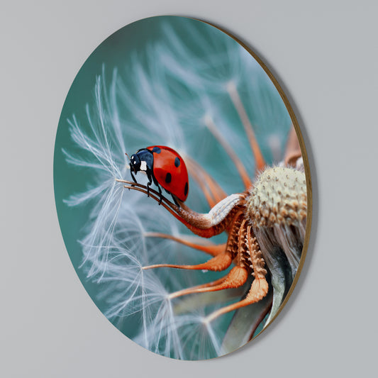 LADYBUG BALANCE Arte de Parede Redonda