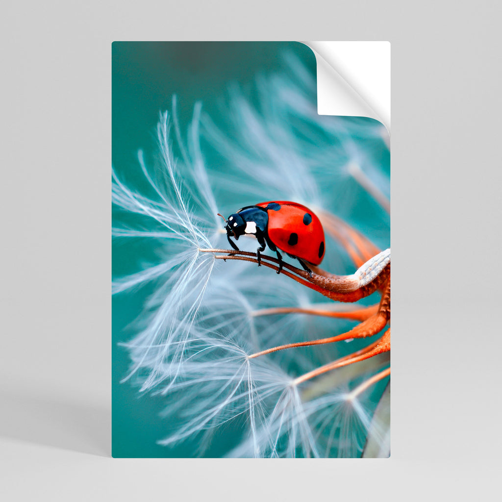 LADYBUG BALANCE Poster Vertical Autocolante