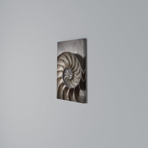 WHISPERS OF SHELLS Quadro em tela vertical