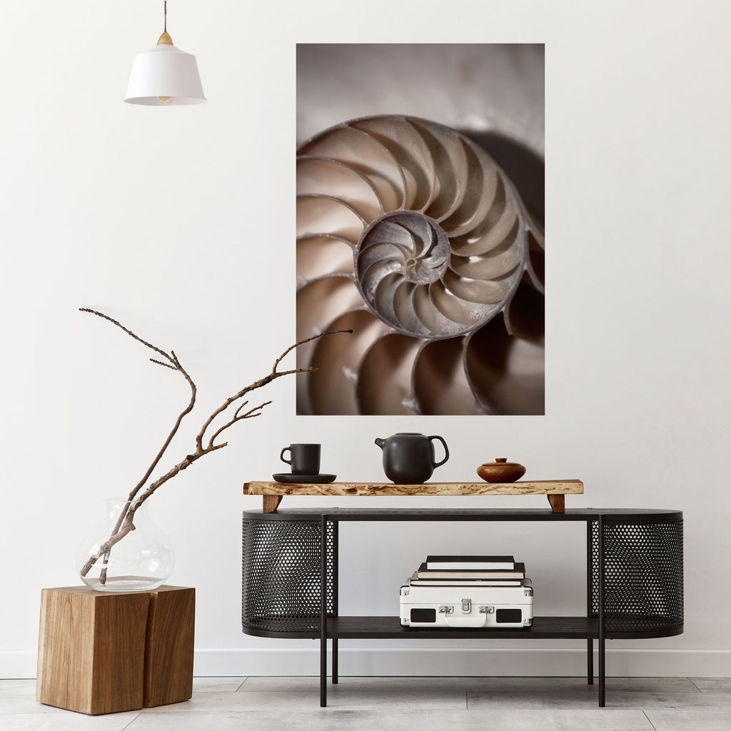 WHISPERS OF SHELLS Poster Vertical Autocolante