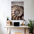 WHISPERS OF SHELLS Poster Vertical Autocolante
