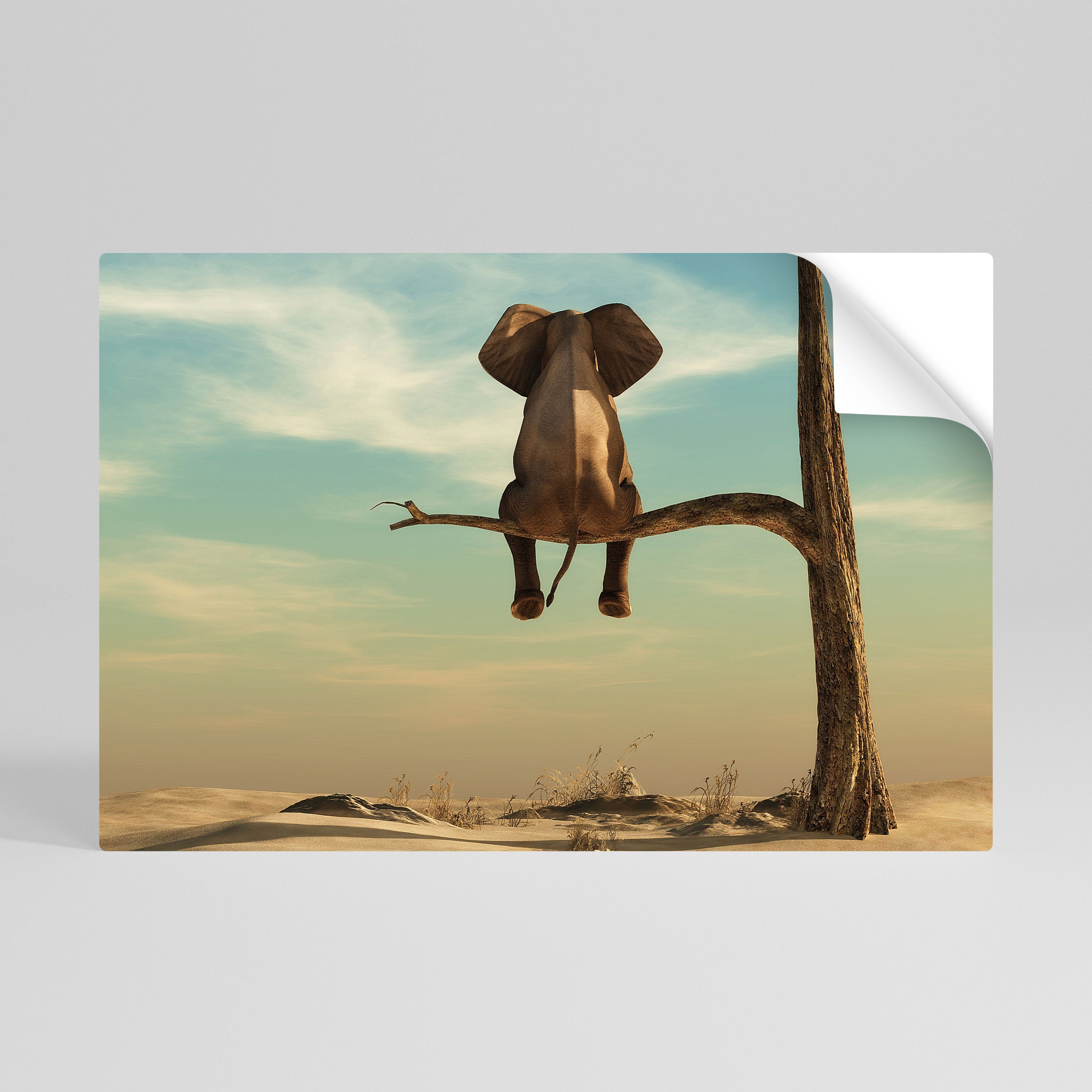DARE TO DREAM Póster Autocolante Horizontal