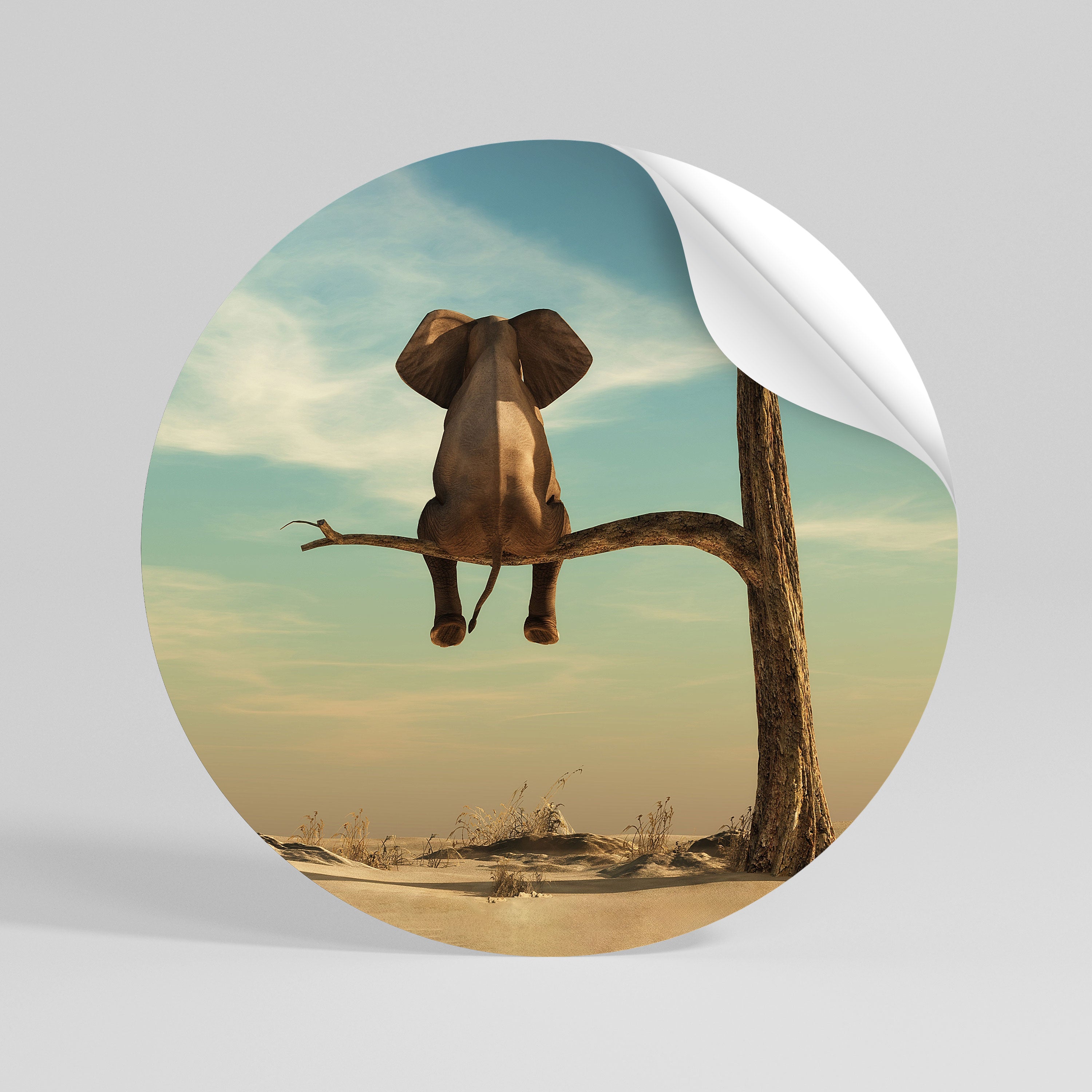 DARE TO DREAM Autocolante Redondo Removível