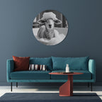 BUBBLE BATH BAA Round Wall Art