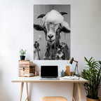 SOAPY GOAT GIGGLES Poster Vertical Autocolante