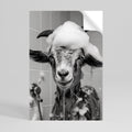 SOAPY GOAT GIGGLES Poster Vertical Autocolante
