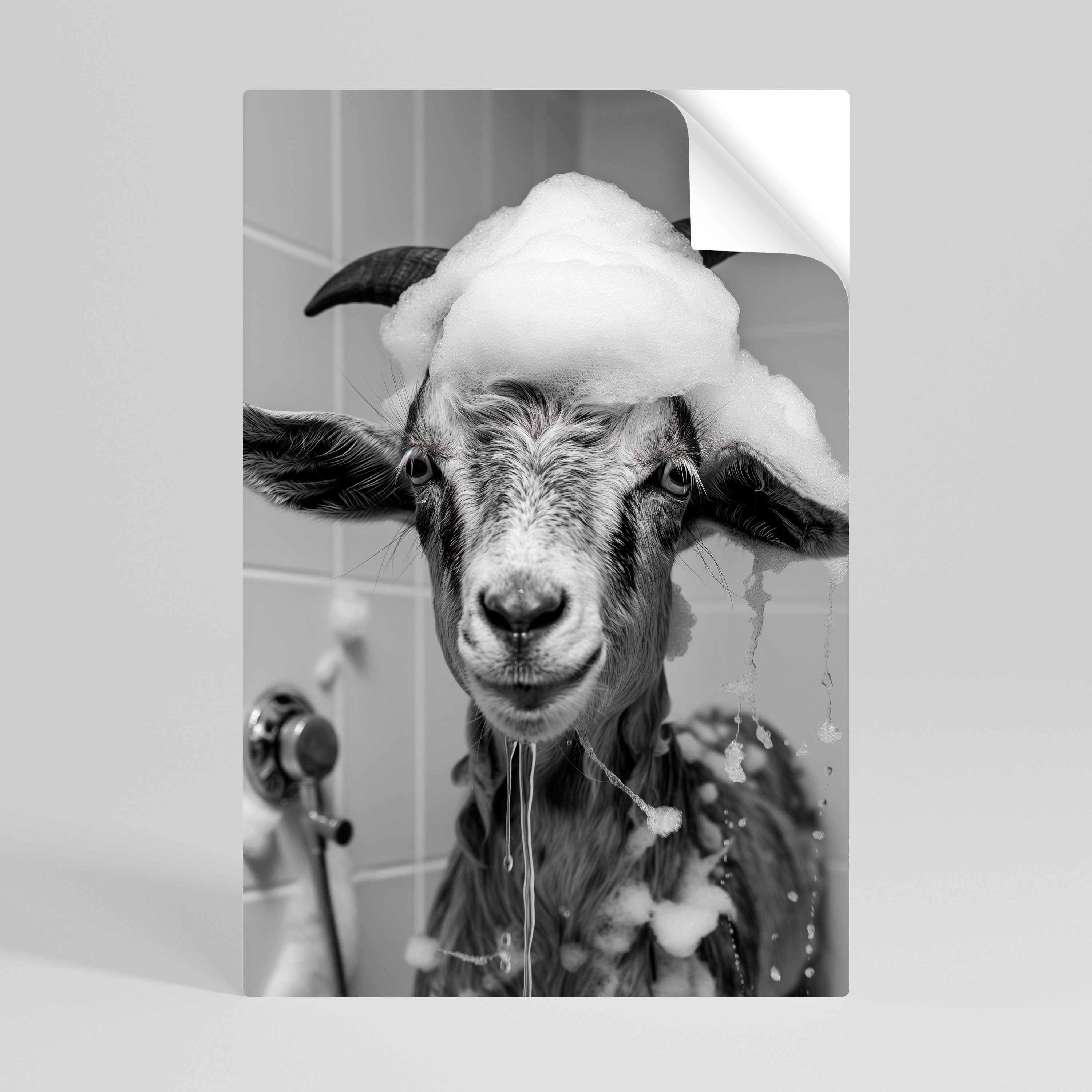 SOAPY GOAT GIGGLES Poster Vertical Autocolante