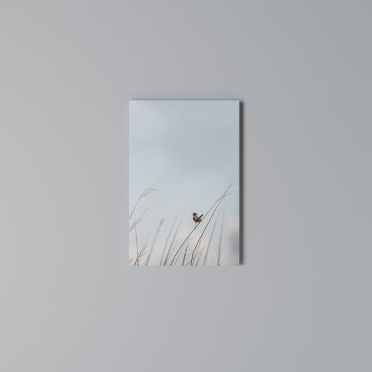 NATURE'S CHORUS Quadro em tela vertical