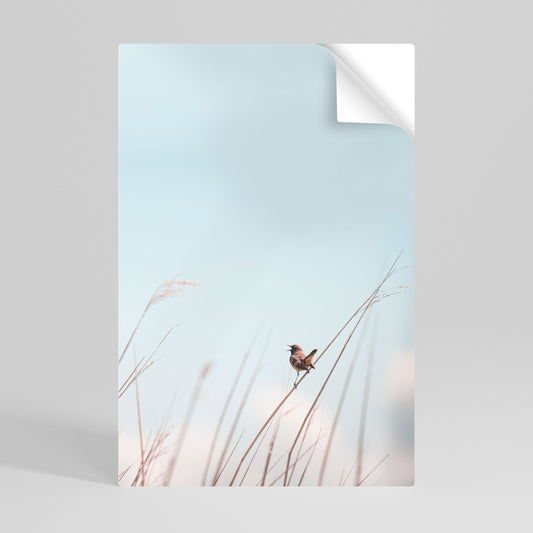 NATURE'S CHORUS Póster Autocolante Vertical
