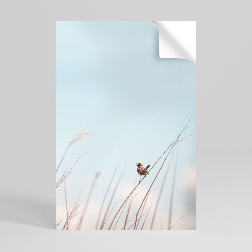 NATURE'S CHORUS Poster Vertical Autocolante