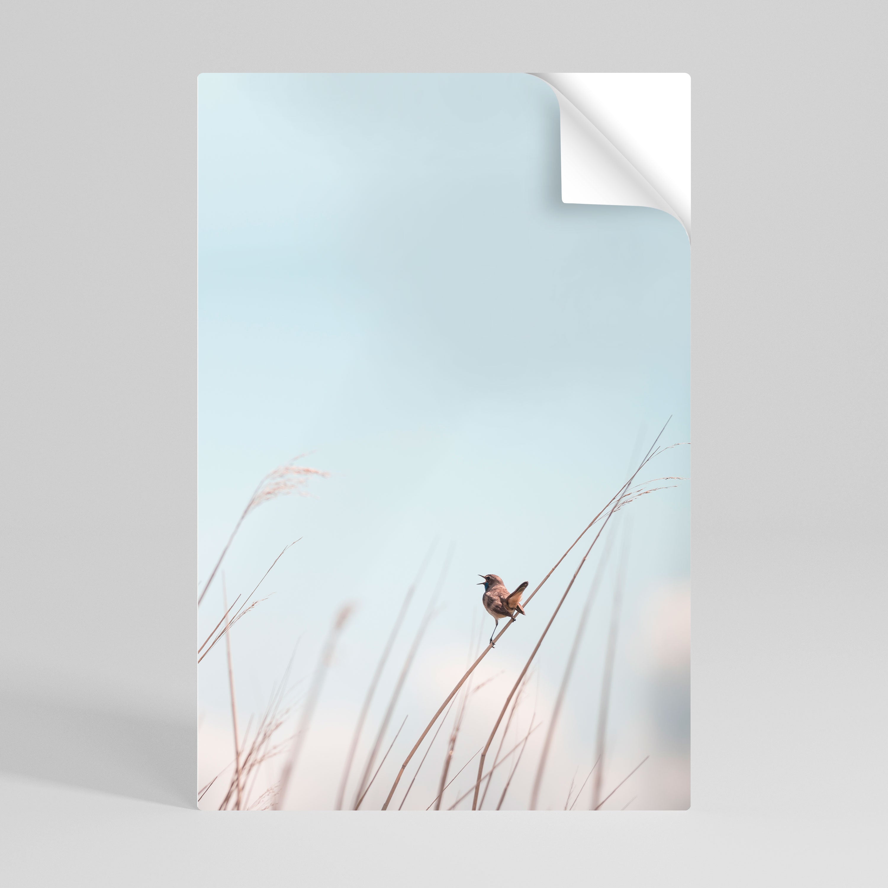 NATURE'S CHORUS Poster Vertical Autocolante