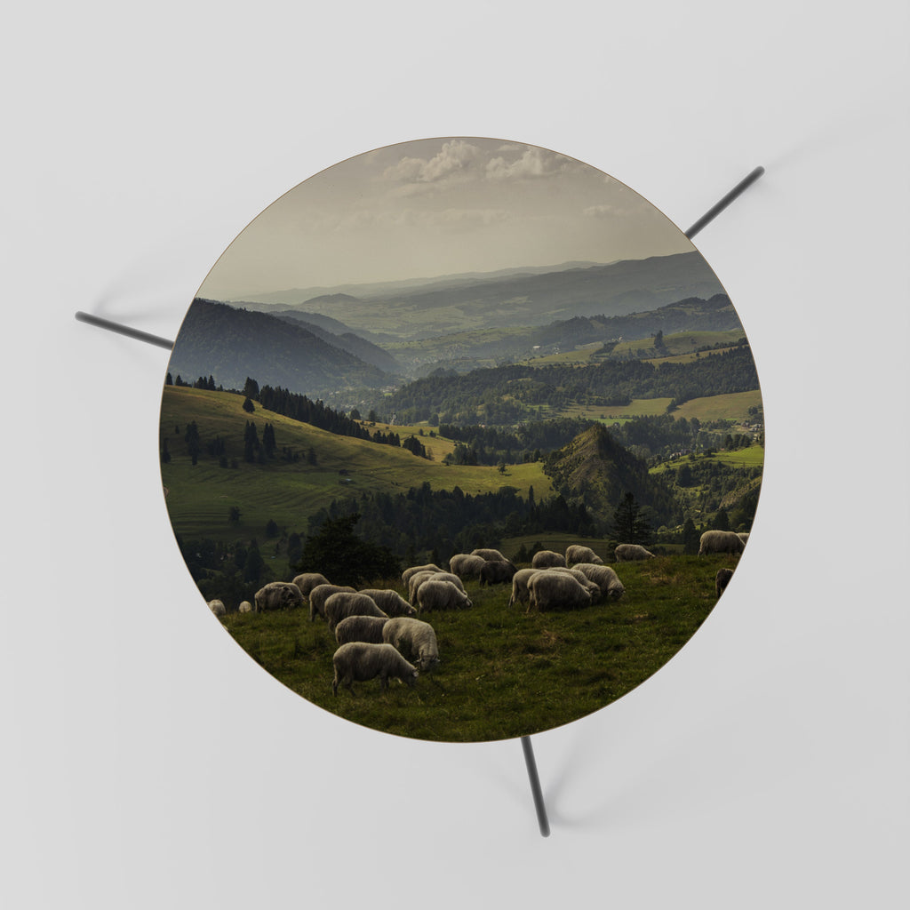 SHEEP IN SERENITY Mesa de Centro 60