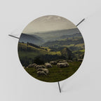 SHEEP IN SERENITY Mesa de Centro 60