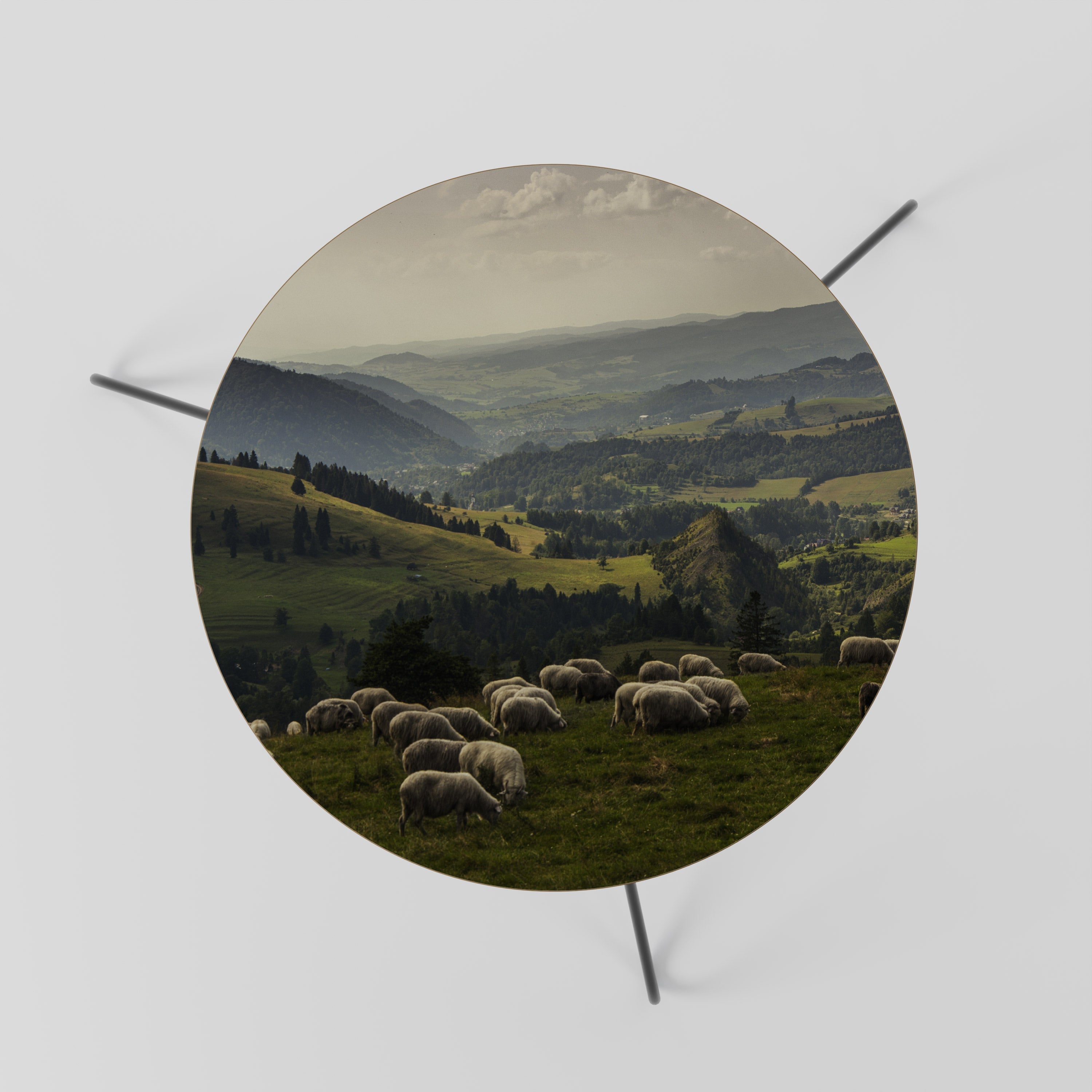 SHEEP IN SERENITY Mesa de Centro 60