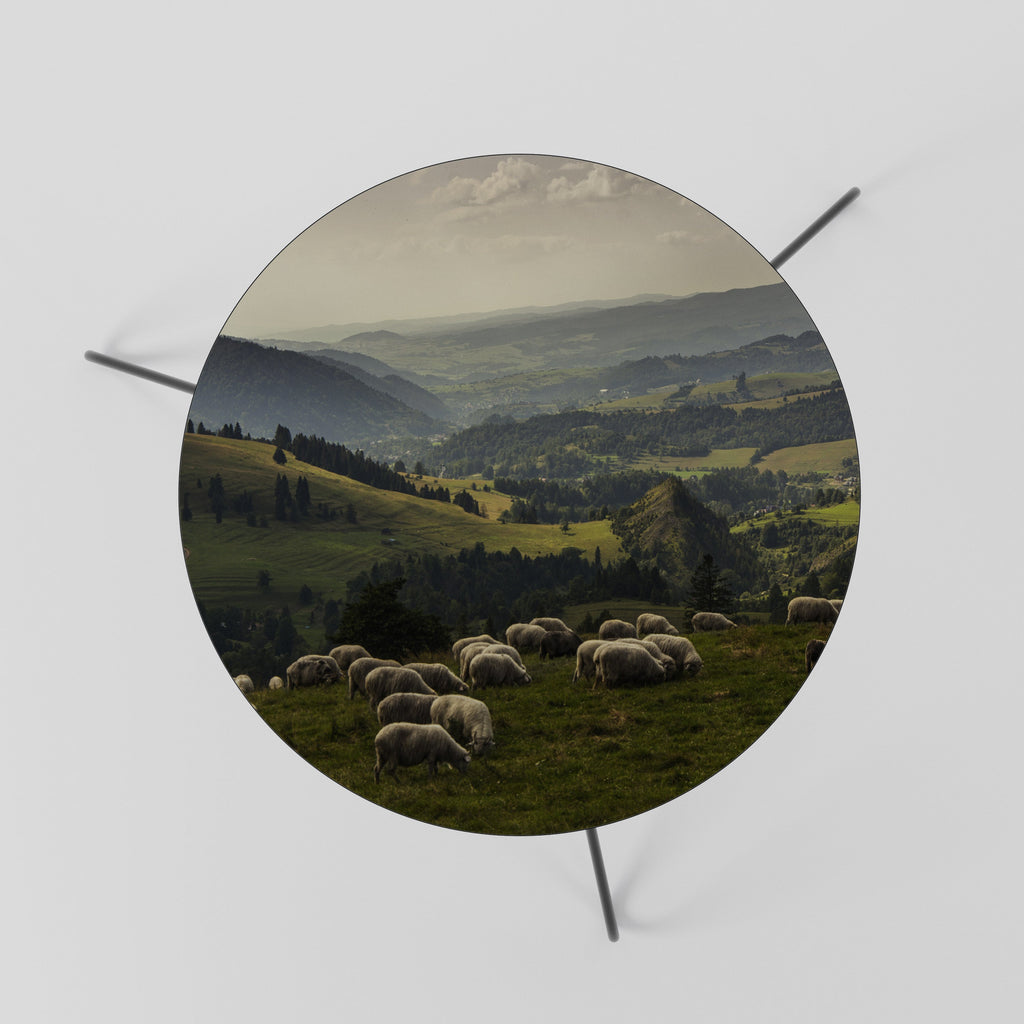 SHEEP IN SERENITY Mesa de Centro 60