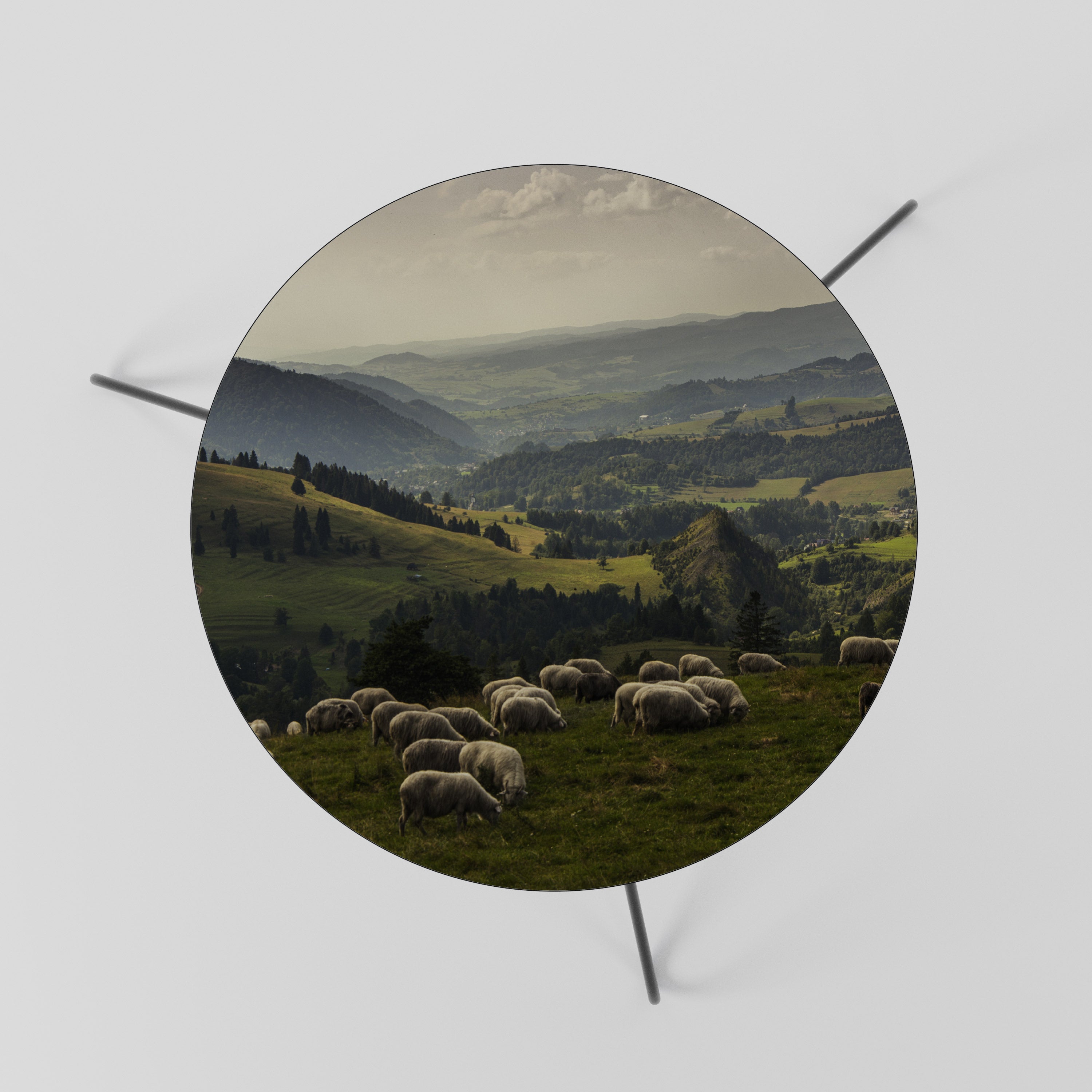 SHEEP IN SERENITY Mesa de Centro 60