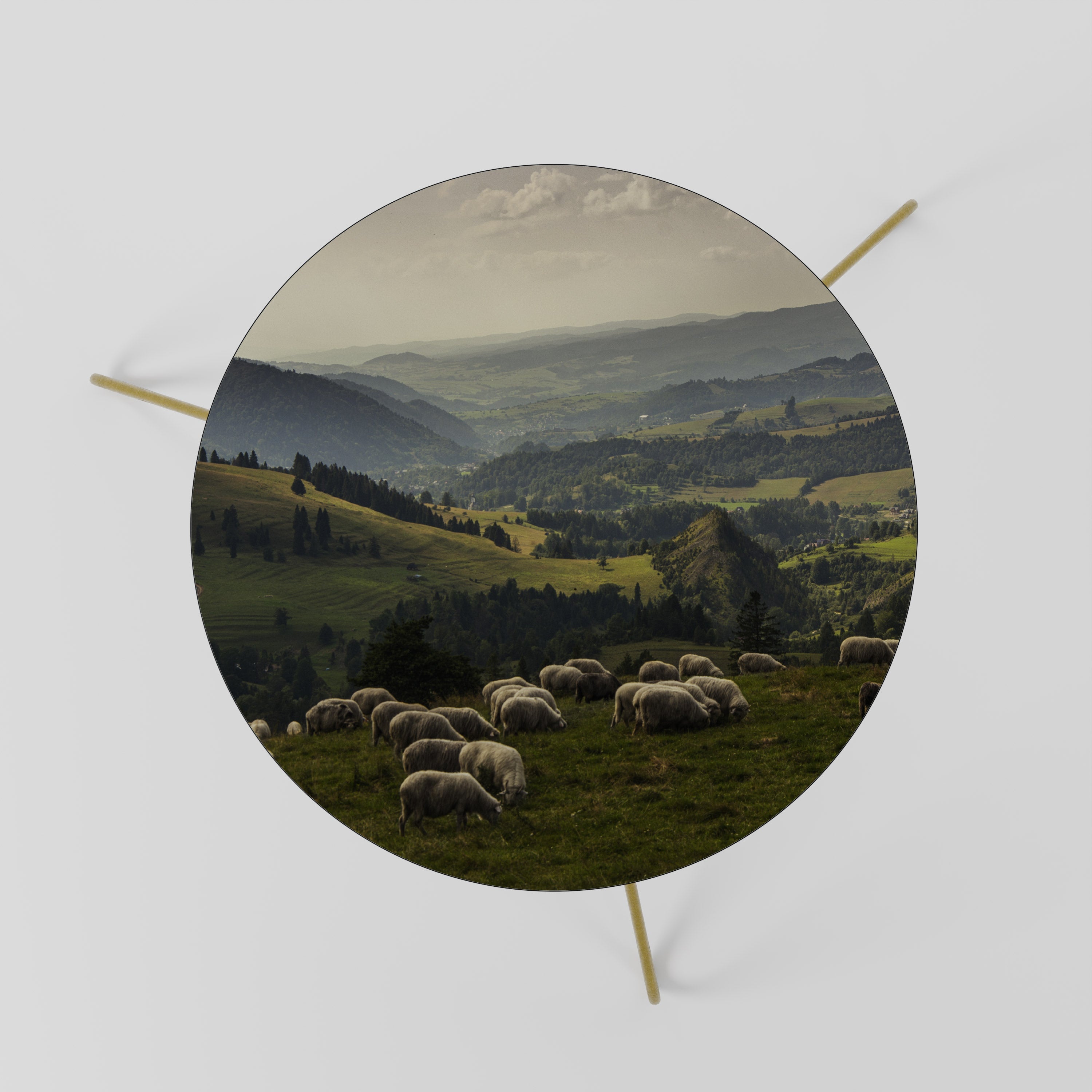 SHEEP IN SERENITY Mesa de Centro 60