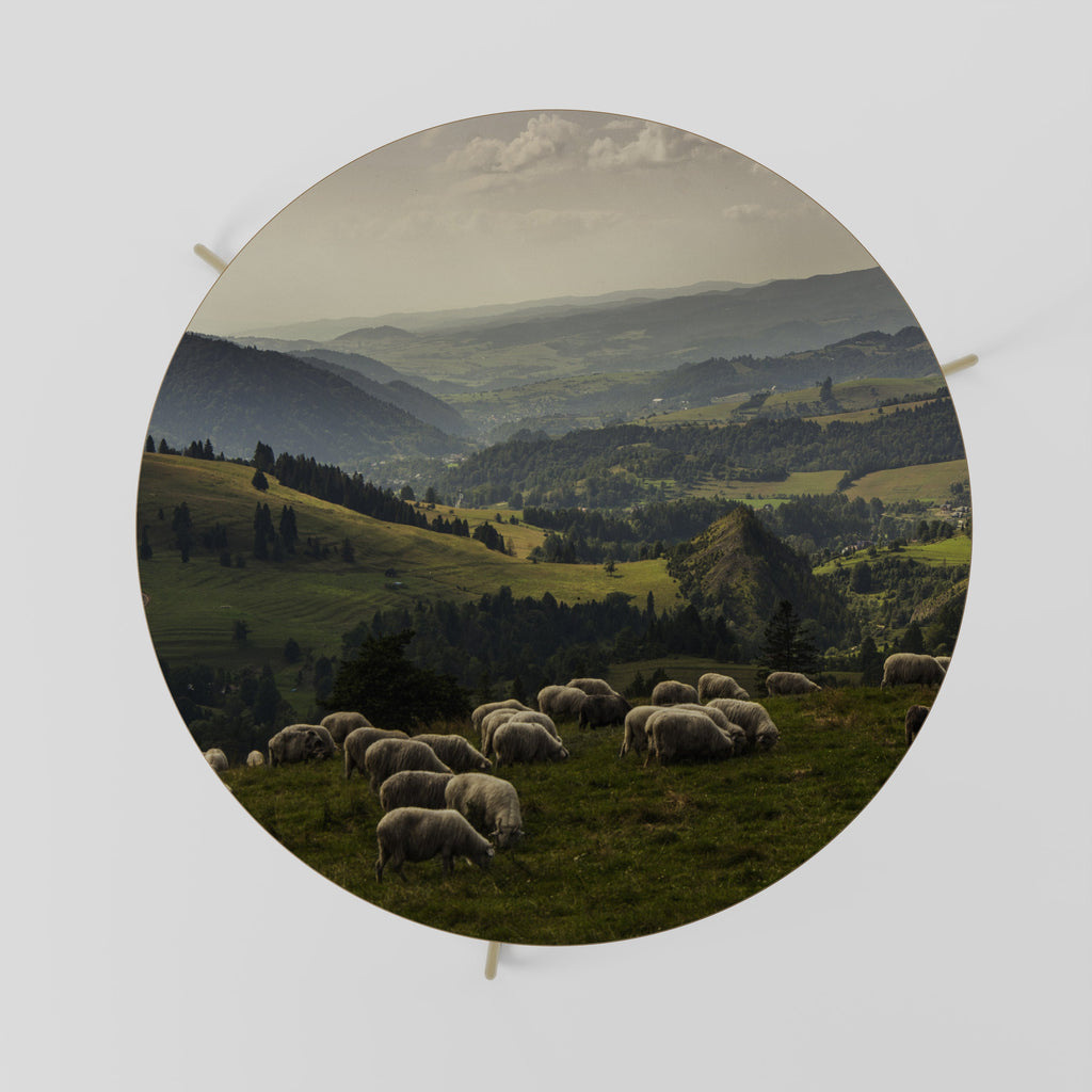 SHEEP IN SERENITY Mesa de Centro 69