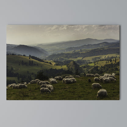 SHEEP IN SERENITY Horizontal Canvas Print