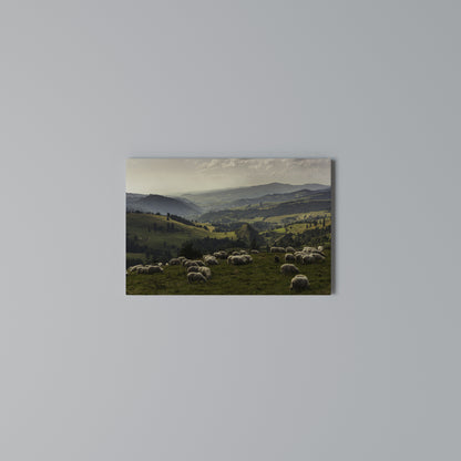 SHEEP IN SERENITY Horizontal Canvas Print