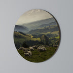 SHEEP IN SERENITY Quadro Redondo Decorativo