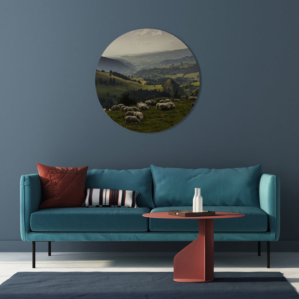 SHEEP IN SERENITY Quadro Redondo Decorativo