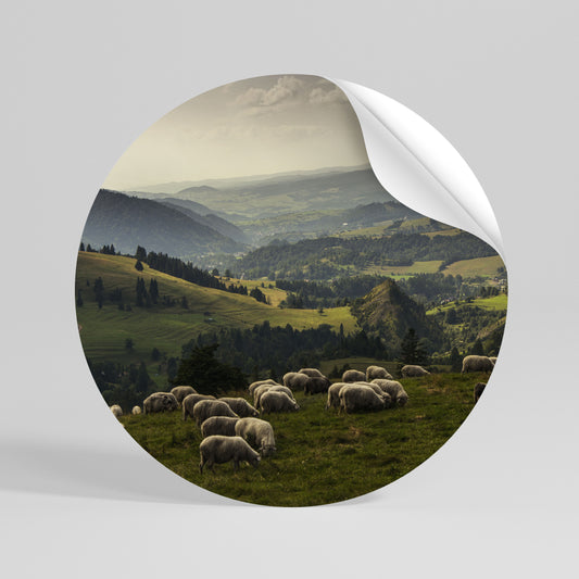 SHEEP IN SERENITY Autocolante Redondo Removível
